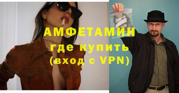 ECSTASY Бородино