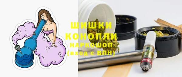 ECSTASY Бородино