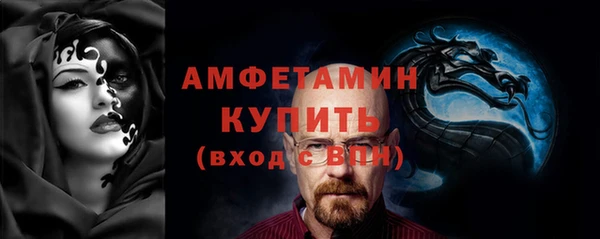 ECSTASY Бородино