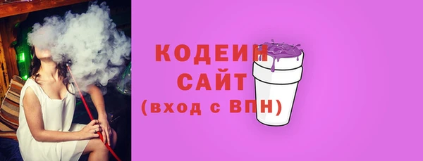 ECSTASY Бородино