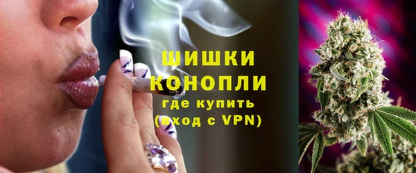 ECSTASY Бородино