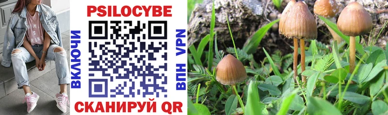 мега как войти  Балашиха  Галлюциногенные грибы Psilocybine cubensis 